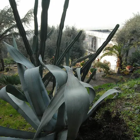 ベッド・アンド・ブレックファスト La Dimora Le Fumarole