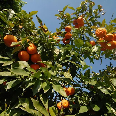 ベッド・アンド・ブレックファスト La Dimora Le Fumarole